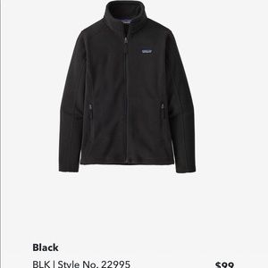 Womens Classic Synchilla Jacket